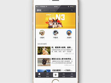 �ȳ�app��������